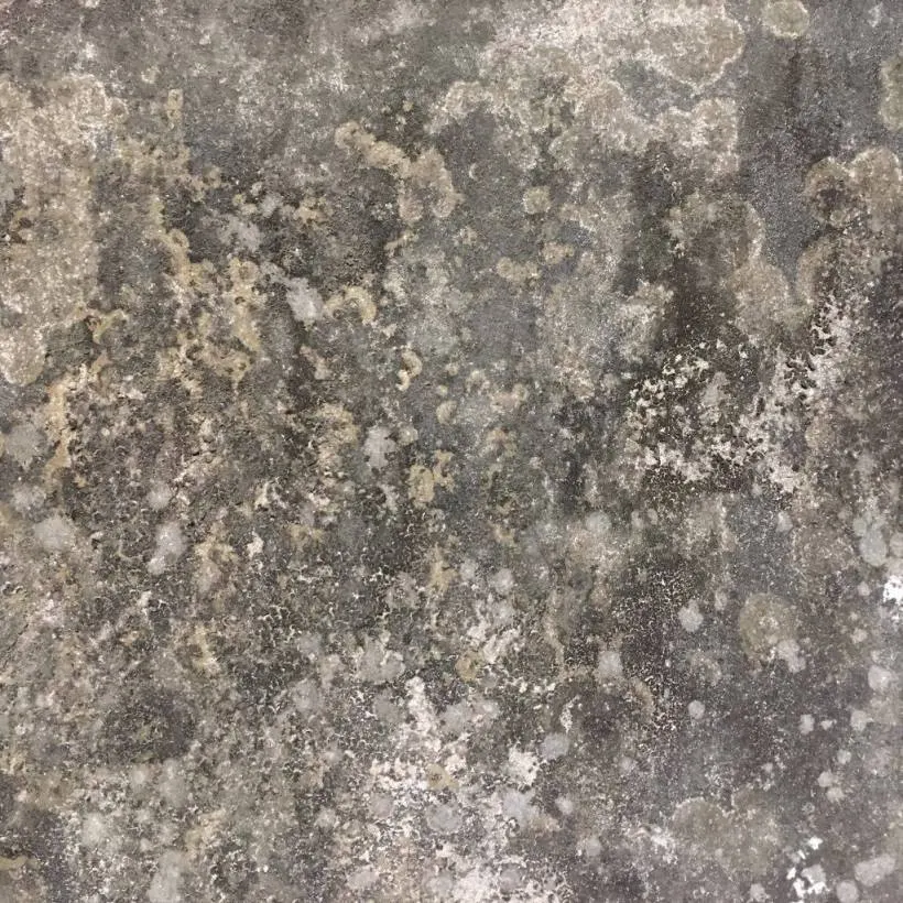 15491976_10158036149480724_1964729093_o